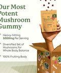 Plant People Wonderday Extra Strength Mushroom Gummies â€“ Sugar Lionâ€™S Mane Cordyceps Reishi & Chaga Supplement For Adults â€“ Mood Boost Energy Focus Immune Support & Gut Health â€“ Vegan Non-Gmo (60 Count)