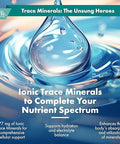 Buried Treasure Zinc Complex Drops 30 Servings 2 fl oz Efficient and Bioavailable Ionic Zinc Supplement