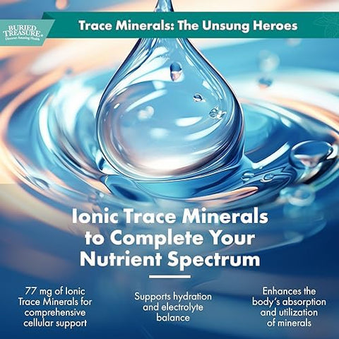 Buried Treasure Zinc Complex Drops 30 Servings 2 fl oz Efficient and Bioavailable Ionic Zinc Supplement