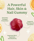 Plant People Wonderbeauty Hair Skin & Nails Rejuvenation Gummies With Tremella Mushroom Collagen Peptides Keratin & Biotin Watermelon Flavor 60 Gummies