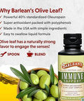 Barlean's Olive Leaf Extract Complex Liquid 95mg Oleuropein Immune Olive leaf extract liquid