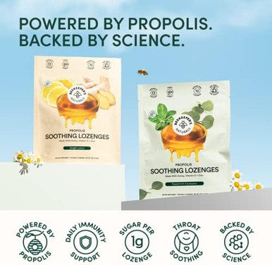 Beekeepers Naturals Ginger Lemon Lozenges, 14 Ct