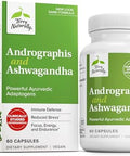 Terry Naturally Andrographis And Ashwagandha Immune System Support Supplement Support Energy & Healthy Stress Response Energy Support Supplement 60 Capsules (60 Servings)
