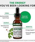 Nutramedix Energy Support Bundle Includes Adrenal Energy Support Liquid Drops And Magnesium Malate Capsules For Energy & Athletic Support No Caffeine 2Piece Supplement Set