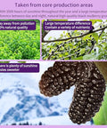 DOZO Dried Black Mulberries 15.5oz/440g Black Mulberry Large Sun-dried Mulberries Vegan SnackÃ¯Â¼â€ Baking No sugar add Ã¦Â¡â€˜Ã¨â€˜Å¡Ã¥Â¹Â² Ã©Â»â€˜Ã¦Â¡â€˜Ã¨â€˜Å¡