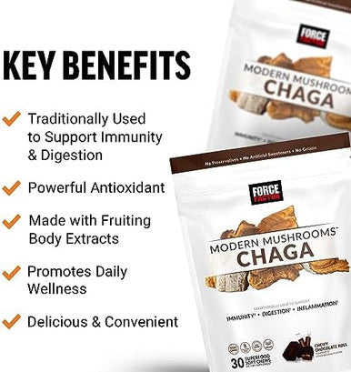 Force Factor Modern Mushrooms Soft Chews Chaga Mushrooms Supplement To Support Immunity Digestion & Gut Health Antioxidants Supplement Delicious Chewy Chocolate Roll Flavor 30 Soft Chews