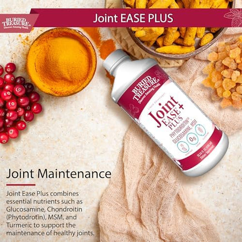 Buried Treasure Joint Ease Plus 16 Fl Oz Glucosamine Chondroitin With Msm And Turmeric Joint Support Supplement