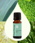 Plant Therapy Eucalyptus Mint Essential Oil Blend (1/ 100% Pure Undiluted Invigorating 10 Ml