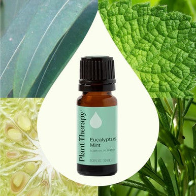 Plant Therapy Eucalyptus Mint Essential Oil Blend (1/ 100% Pure Undiluted Invigorating 10 Ml
