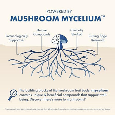 Host Defense Mycobenefits Sleep Capsules Rest Support For Healthy Sleep Quality Calming Supplement With Magnesium Lion'S Mane 60 Capsules (30 Servings)