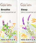 Gya Labs Breathe Essential Oil For Humidifier Cleaner & Sleep Oils For Diffuser Set - Essential Oils Set - 2X10Ml - Gya Labs