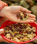 Raw Hemp Seed Hearts 1 LB Bag ÃƒÂ¢Ã¢â€šÂ¬Ã¢â‚¬Å“ Hulled Hemp Seeds, 10g Protein, Omega 3-6, Non-GMO, Vegan, Keto Friendly, Grown in Canada