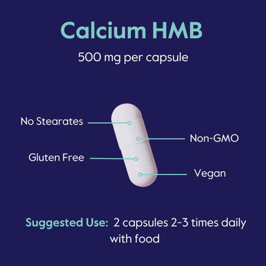 Bestvite HMB 500mg (240 Vegetarian Capsules) - No Stearates - Vegan - Non GMO - Gluten - HMB Supplement