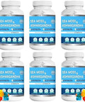 Bio Vitalica Sea Moss Ashwagandha Gummies Organic Irish Seamoss & Ashwa Root Powder Supplements For Supporting Energy & Immunity For Men And Women 5 Packs