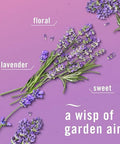 Febreze Plug In Air Freshener Odor-Fighting Scented Oil Refill Air Fresheners For Home And Bathroom And Kitchen Long Lasting For Strong Odors Twilight Lavender Scent 0.87Oz Refills 3 Count
