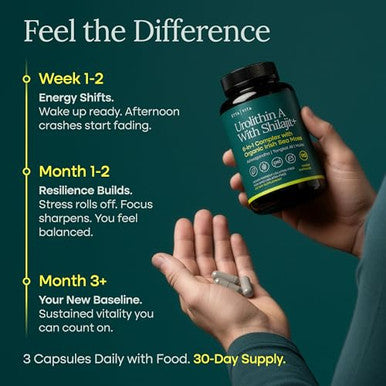 Etta Vita Urolithin A Complex W Shilajit Organic Sea Moss Ashwagandha & Tongkat
