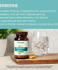 Himalaya Berberine For Balanced Support Digestion & Immune System Support 500 Mg 60 Vegetarian Capsules 1 Month Supply