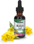 Nature'S Answer Mullein Leaf with Organic Alcohol 1-Fluid Ounce | Extract for Lungs | Respiratory Support