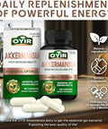 OYIR 300 Billion Afu Akkermansia Probiotic Glp 1 Probiotic Akkermansia Muciniphila Supplement Support Digestive, Immune, Overall Health For Men and Women Enhances Gut Lining Function