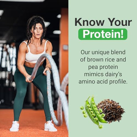 Pescience Select Vegan Protein Powder Plant Based Protein Powder Amazing Taste Smooth Texture Pea And Brown Rice Blend Dairy Lactose Gluten â€“ 5 Flavor Variety Pack 25 Servings