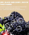 Food to Live Dried Black Mulberry, 5.3oz (150g) - Vegan | Juicy Sweet-Tart Superfruit for Snacks, Smoothies & Baking | Raw, No Sugar Added, Resealable Bulk Bag