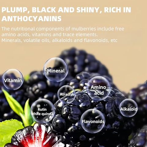 Food to Live Dried Black Mulberry, 5.3oz (150g) - Vegan | Juicy Sweet-Tart Superfruit for Snacks, Smoothies & Baking | Raw, No Sugar Added, Resealable Bulk Bag