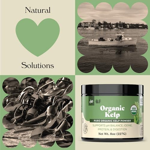Complete Natural Products Organic Kelp Powder Supplement - Bulk Raw Dry Pure Sea Kelp Seaweed Powder 8Oz 75 Serving Thyroid Iodine & Digestion