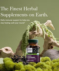Gaia Herbs Black Elderberry Daily Immune Support Supplement To Help Maintain Wellbeing With Black Elderberries And Acerola Fruit For Antioxidant Support 120 Vegan Capsules (60Day Supply)