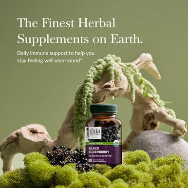 Gaia Herbs Black Elderberry Daily Immune Support Supplement To Help Maintain Wellbeing With Black Elderberries And Acerola Fruit For Antioxidant Support 120 Vegan Capsules (60Day Supply)