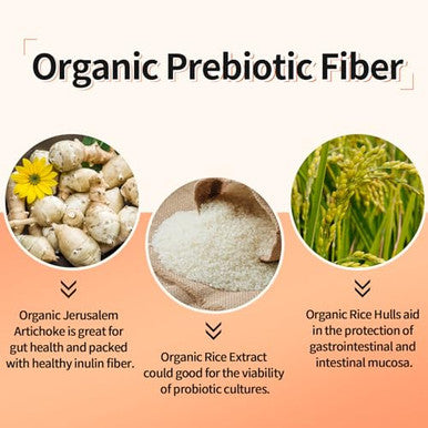 Lifeatlas 300 Billion Cfu Probiotics 60 Caps