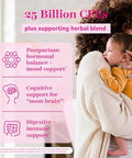Pink Stork Probiotics For Postnatal Women 30 Billion Cfus With Ashwagandha And Chamomile Postpartum Essentials For Hormone Balance Mood Support Gut Health Digestive Wellness 30 Capsules