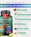 Dynamic Vitality Bundle Sea Moss 7000mgBlack Seed Oil 4000mg Shilajit and Sea Moss Bundle