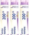 Boiron Arnica Montana 200Ck For Muscle Pain And Stiffness Homeopathic Medicine 3 Count Pack Of 1 With 240 Pellets And Boiron Hypericum Perforatum 200Ck For Nerve Pain Homeopathic Medicine 80 Pellets Pack Of 3