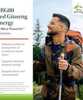 Terry Naturally Hrg80 Red Ginseng Energy Support Healthy Energy & Focus Herbal Supplement With Korean Red Ginseng Root Powder Vegan Tablets To Aid Healthy Endurance 30 Chewable Tablets