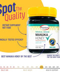 ManukaGuardÃ‚Â® Medical Grade Manuka Honey MGO 400+ | 100% Authentic New Zealand Manuka Honey | Healing Honey for Immunity Boost | 8.8 oz