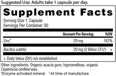 Probiotics And Zinc Supplement By Ancient Nutrition, Supports Healthy Immune System And Gut Health, Made Without Gmos, Superfoods Supplement, Paleo And Keto Friendly, 30 Count