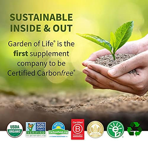 Garden Of Life Vitamin Code Raw Vitamin B Complex Vegetarian Capsules 60 Ct