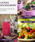 DOZO Dried Black Mulberries 15.5oz/440g Black Mulberry Large Sun-dried Mulberries Vegan SnackÃ¯Â¼â€ Baking No sugar add Ã¦Â¡â€˜Ã¨â€˜Å¡Ã¥Â¹Â² Ã©Â»â€˜Ã¦Â¡â€˜Ã¨â€˜Å¡
