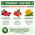 Hcl Herbal Code Labs Cranberry Extract Capsules 50:1 Whole Fruit Concentrate With Dandelion &