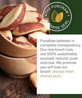 PuroRaw Brazil Nuts Raw 1lb, Raw Brazil Nuts. Brazil Nuts Unsalted - Brazil Nuts- All Natural, Non-GMO, Vegan Brazil Nuts- Brazil Nuts Bulk 16oz
