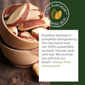 PuroRaw Brazil Nuts Raw 1lb, Raw Brazil Nuts. Brazil Nuts Unsalted - Brazil Nuts- All Natural, Non-GMO, Vegan Brazil Nuts- Brazil Nuts Bulk 16oz