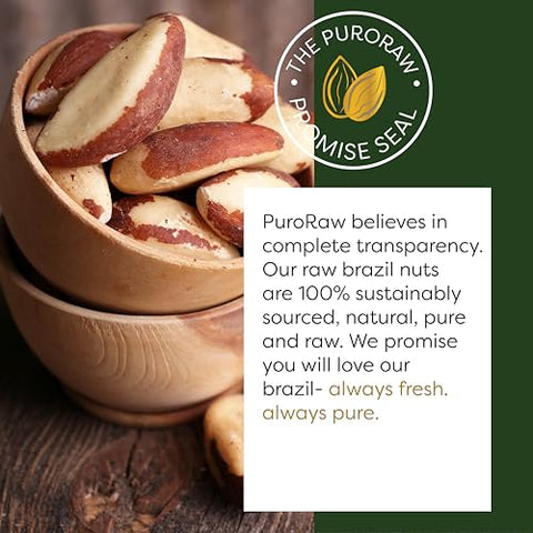 PuroRaw Brazil Nuts Raw 1lb, Raw Brazil Nuts. Brazil Nuts Unsalted - Brazil Nuts- All Natural, Non-GMO, Vegan Brazil Nuts- Brazil Nuts Bulk 16oz