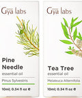 Gya Labs Pine Essential Oils For Diffuser & Tea Tree Oil For Skin Set - Aromatherapy Grade Essential Oils Set - 2X0.34 Fl Oz - Gya Labs