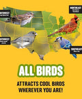 Cool Birds All Birds Wild Bird Seed, 10 lb | Classic Blend with Black Oil Sunflower, White Millet, Safflower, Peanuts & Sunflower Hearts