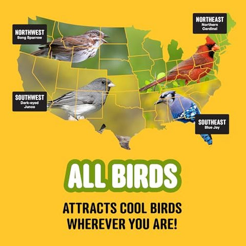 Cool Birds All Birds Wild Bird Seed, 10 lb | Classic Blend with Black Oil Sunflower, White Millet, Safflower, Peanuts & Sunflower Hearts
