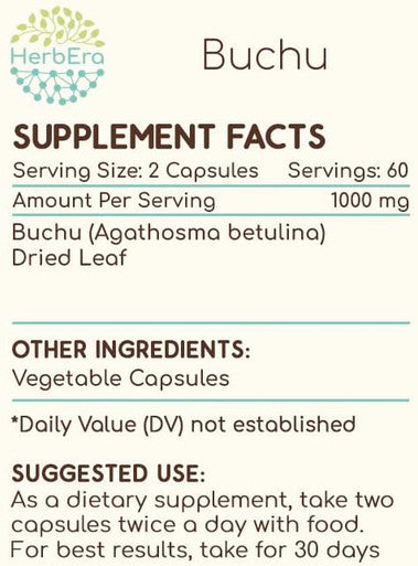 HerbEra Buchu 120 Capsules, 500 mg, Buchu (Agathosma Betulina) Dried Leaf (120 Capsules)
