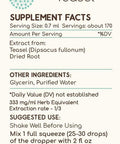 Teasel B120(2pcs) Alcohol-Free Herbal Extract Tincture, Concentrated Liquid Drops Natural Teasel (Dipsacus fullonum, Dipsacus sylvestris) Dried Root (2x4 fl oz)