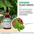 Nutramedix Glucomedix Bioavailable Cat'S Claw & Stevia Liquid Drops Metabolic Support To Help Maintain A Healthy Immune System Daily Immune Support Tincture (4 Fl Oz)