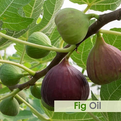 B-URBAN Fig Oil | 100% Pure & Natural Oil With High Concentration Of Vitamin E for Skin Care & Hair Care -100ml