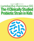 Culturelle Probiotics Ultimate Balance Probiotic For Antibiotics Ages 3 20 CountOrangeProbiotic For Kids Helps Restore Good Bacteria Lost During Antibiotic Use & Supports A Healthy Immune System